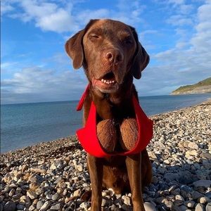 Meet your Posher, Shania